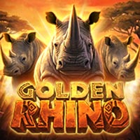 STAR88 - Golden Rhino | star88