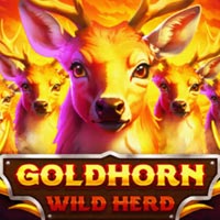 STAR88 - Goldhorn Wild Herd | star88