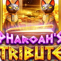 STAR88 - Pharaohs Tribute | star88