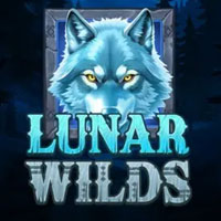 STAR88 - Lunar Wilds | star88
