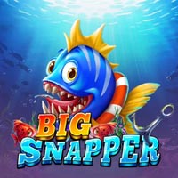 STAR88 - Big Snapper | star88