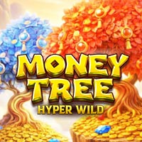 STAR88 - Money Tree - Hyper Wild | star88
