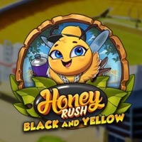 STAR88 - Honey Rush Black and Yellow | star88