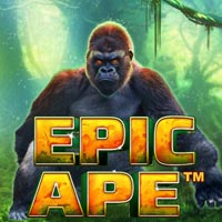 STAR88 - Epic Ape | star88