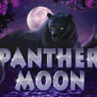 STAR88 - Panther Moon | star88
