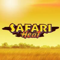 STAR88 - Safari Heat | star88