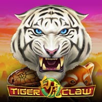 STAR88 - Tiger Claw | star88