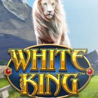 STAR88 - White King | star88
