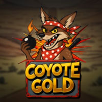 STAR88 - Coyote Gold | star88