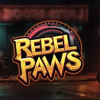 STAR88 - Rebel Paws | star88