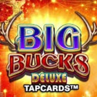 STAR88 - Big Bucks Deluxe Tapcards | star88