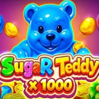 STAR88 - Sugar Teddy X1000 | star88