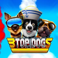 STAR88 - 3 Top Dogs | star88