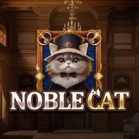 STAR88 - Noble Cat | star88