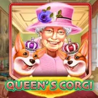 STAR88 - Queens Corgi | star88
