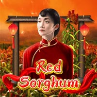STAR88 - Red Sorghum | star88