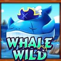STAR88 - Whale Wild | star88