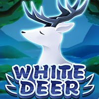 STAR88 - White Deer | star88
