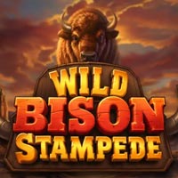 STAR88 - Wild Bison Stampede | star88