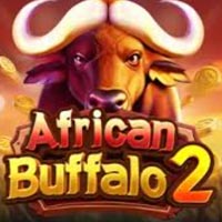 STAR88 - African Buffalo 2 | star88