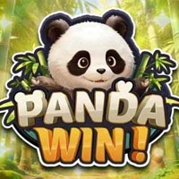 STAR88 - Panda Win! | star88