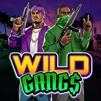 STAR88 - Wild Gangs | star88