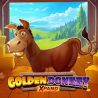 STAR88 - Golden Donkey Xpand | star88