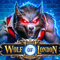 STAR88 - Wolf of London | star88