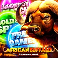 STAR88 - African Buffalo Savanna Wild | star88