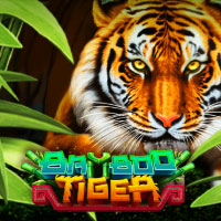 STAR88 - Bamboo Tiger | star88