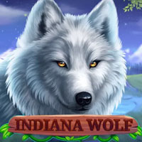 STAR88 - Indiana Wolf | star88