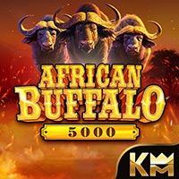 STAR88 - African Buffalo 5000 | star88