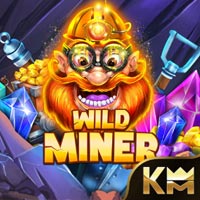 STAR88 - Wild Miner | star88