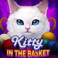 STAR88 - Kitty in the Basket | star88