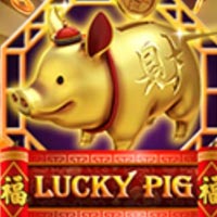STAR88 - Lucky Pig | star88