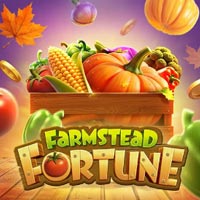 STAR88 - Farmstead Fortune | star88