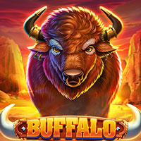 STAR88 - Buffalo | star88