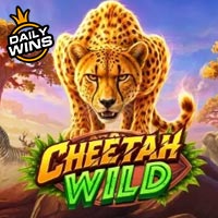 STAR88 - Cheetah Wild | star88