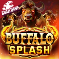 STAR88 - Buffalo Splash | star88