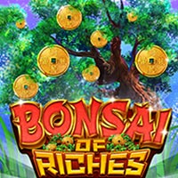 STAR88 - Bonsai of the Riches | star88