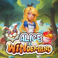 STAR88 - Alice in Winderland | star88