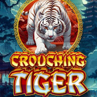 STAR88 - Crouching Tiger | star88